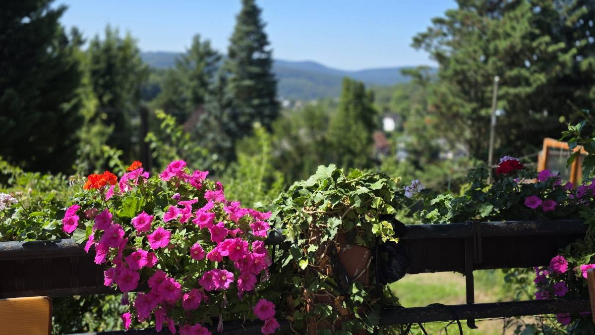 Gastgarten mit Wienerwald-Blick