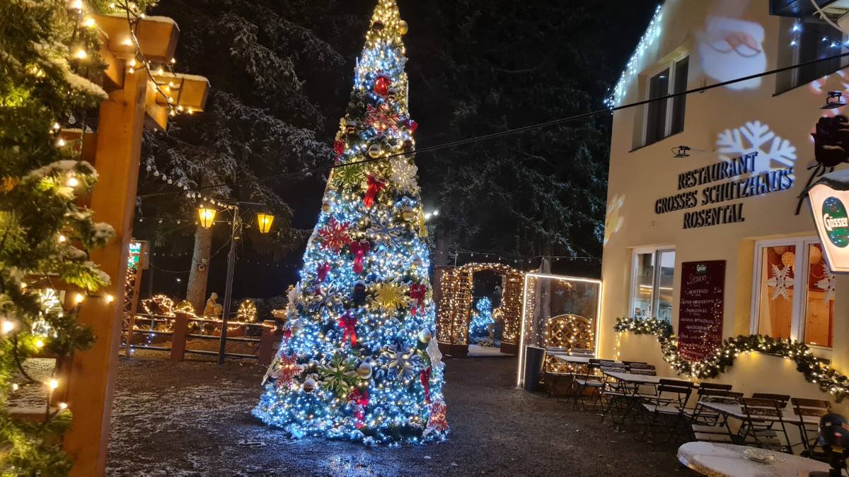 Beleuchteter Christbaum bei Nacht